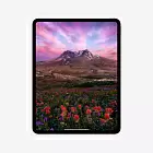 iPad Pro 13" (M4, 2024), Wi-Fi + Cellular, 2 Тб, нанотекстурное стекло, "черный космос"