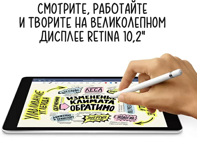 iPad 10,2" (2021), Wi-Fi + Cellular 256 Гб, серебристый