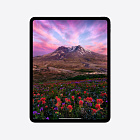 iPad Pro 13" (M4, 2024), Wi-Fi, 2 Тб, нанотекстурное стекло, "черный космос"