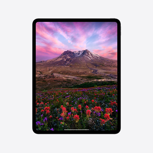 iPad Pro 13" (M4, 2024), Wi-Fi + Cellular, 1 Тб, нанотекстурное стекло, "черный космос"